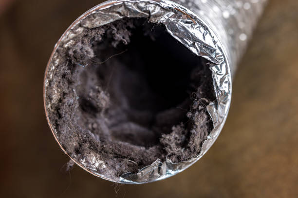 Best Professional Duct Cleaning Services  in Highland Heights, KY